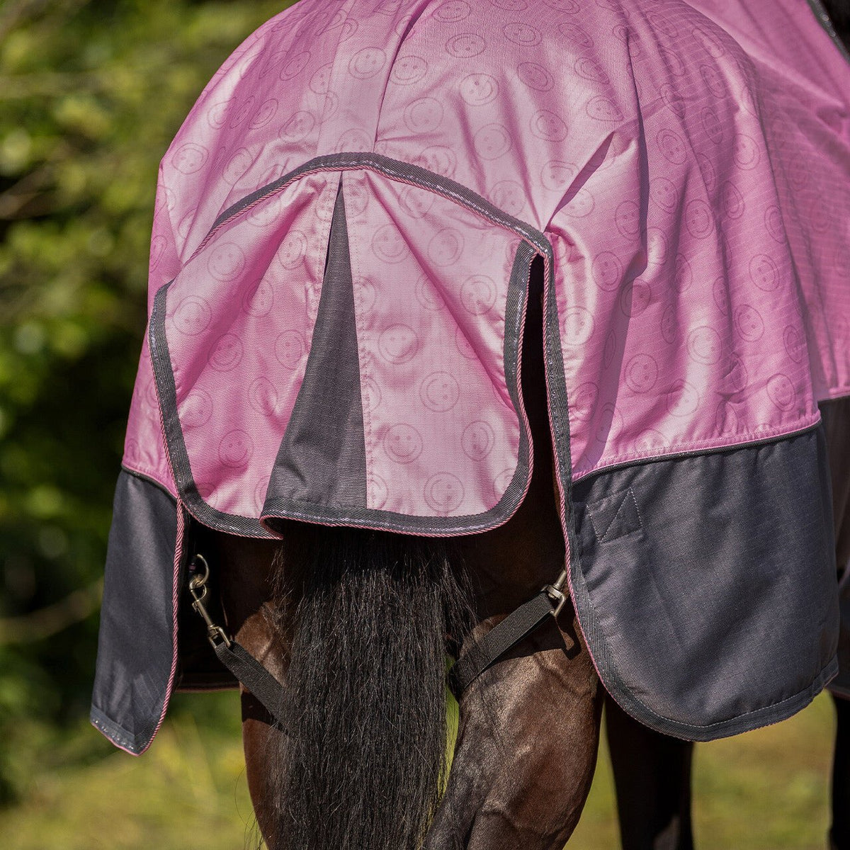 Turnout Rug Collection 0g - Nags Essentials