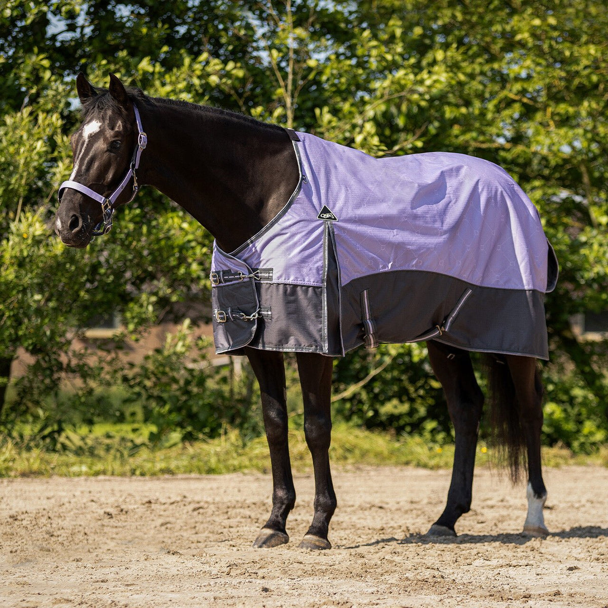 Turnout Rug Collection 0g - Nags Essentials