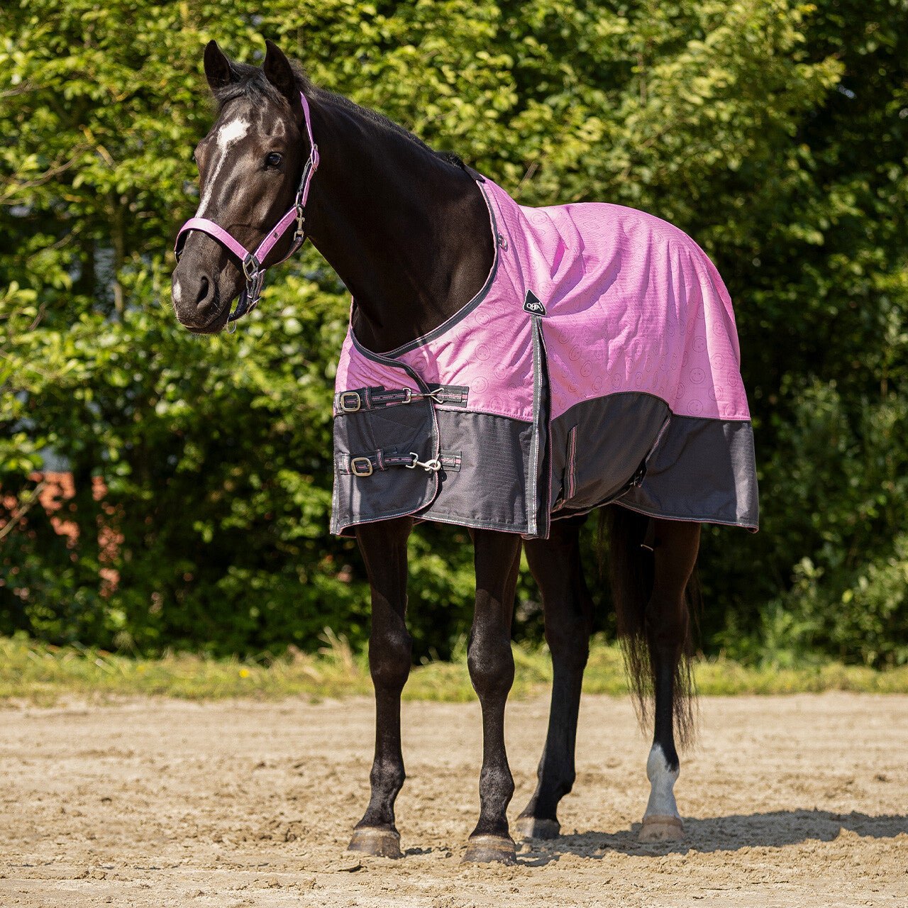 Turnout Rug Collection Fleece Lining - Nags Essentials