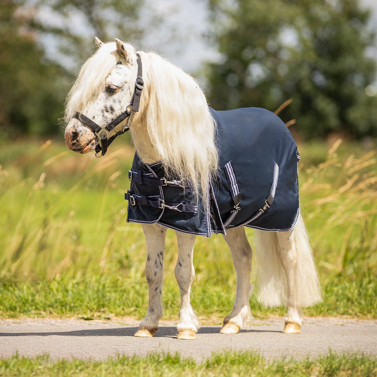 Turnout Rug - Falabella 200g - Nags Essentials