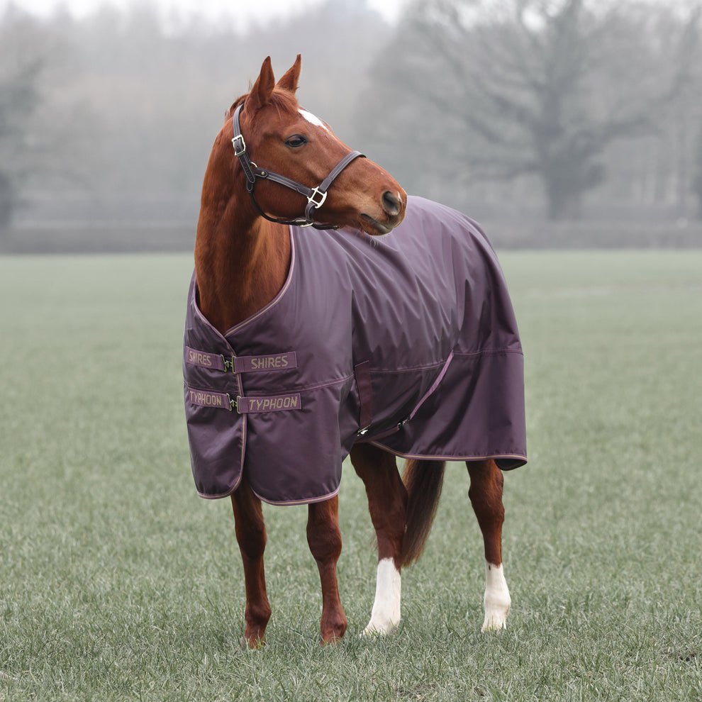 Typhoon 100 Turnout Rug - Black Cherry - Nags Essentials