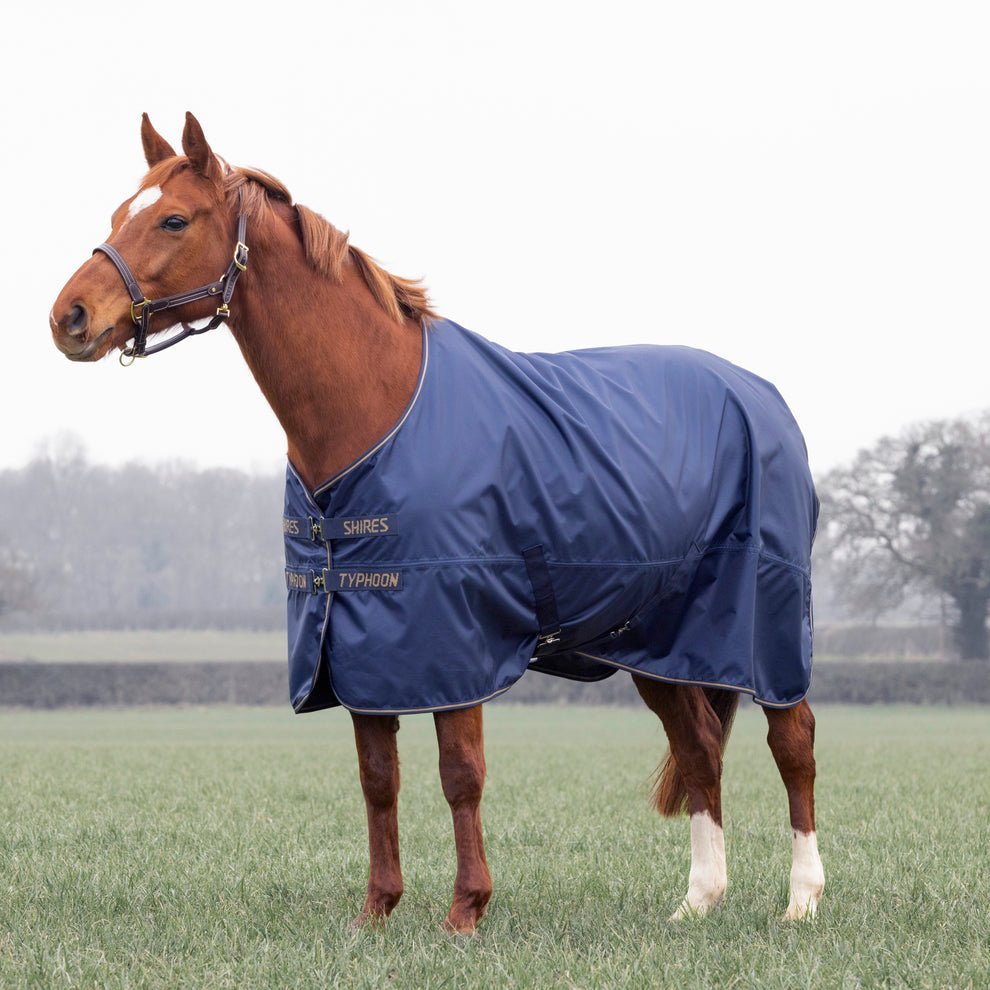 Typhoon Lite Turnout Rug - Navy - Nags Essentials
