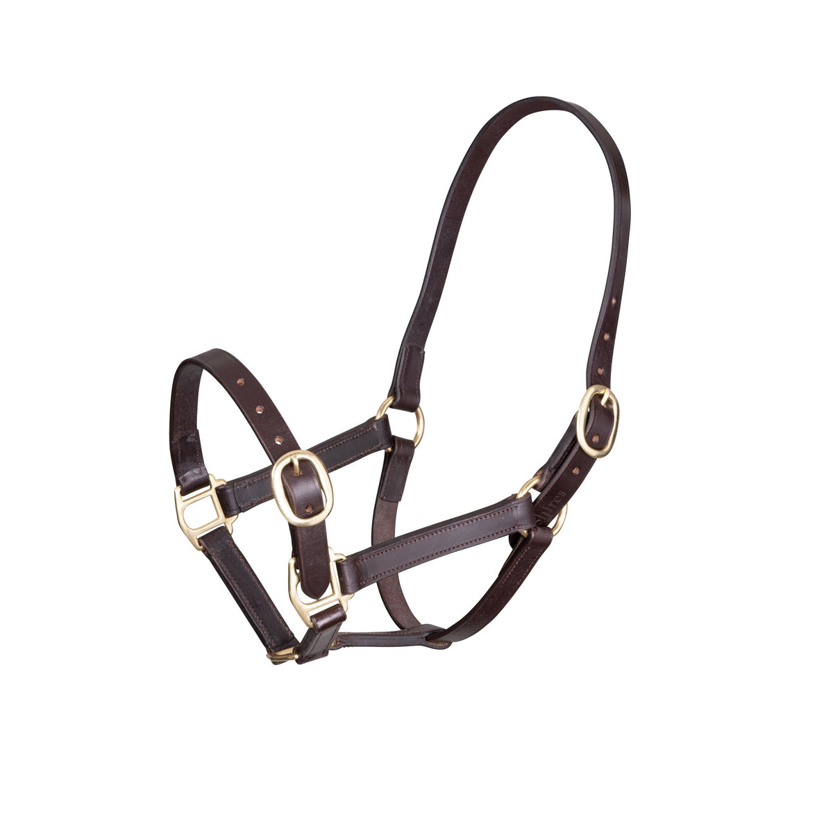 Velociti GARA Adjustable Leather Headcollar - Nags Essentials
