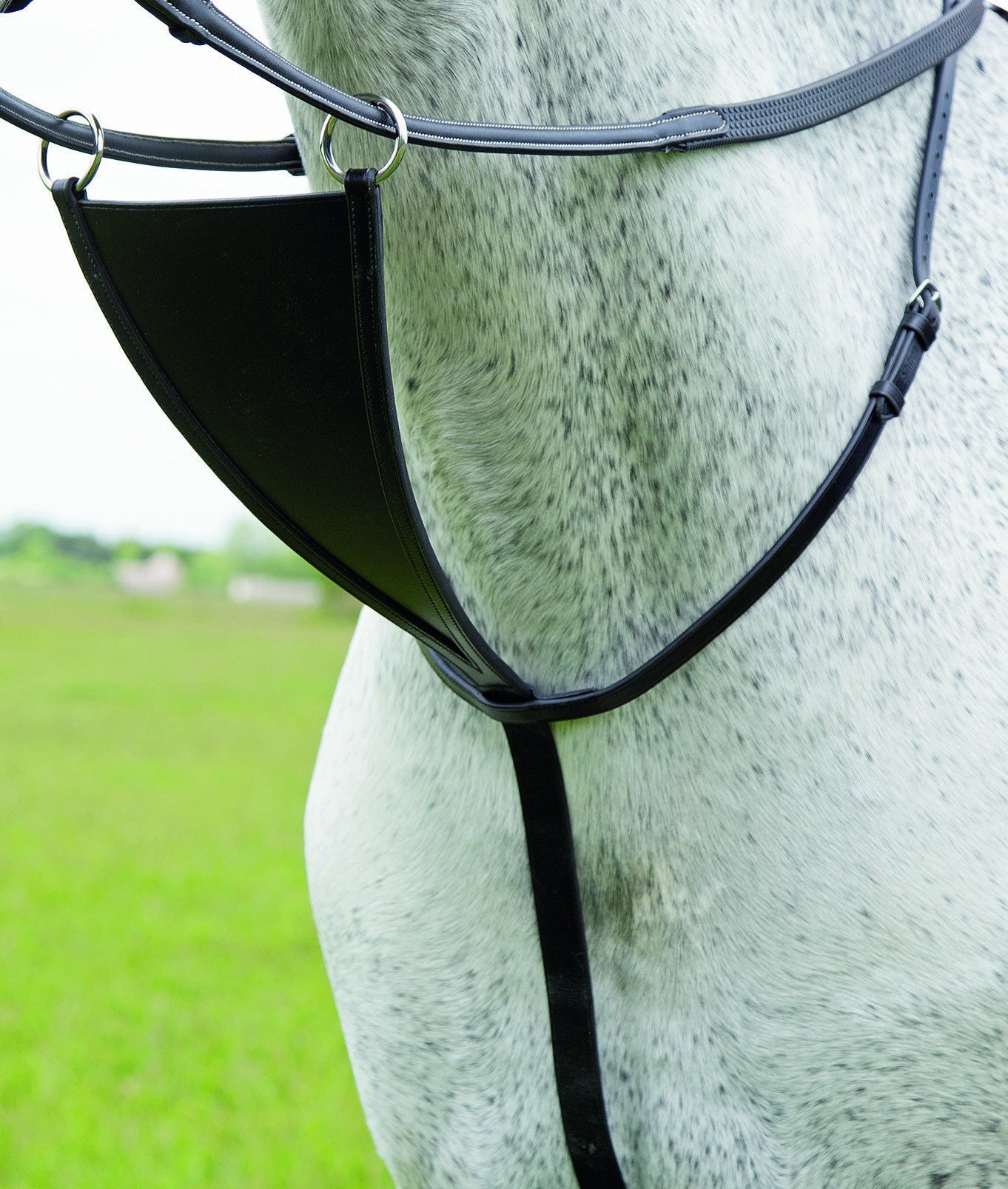 Velociti GARA Bib Martingale - Nags Essentials