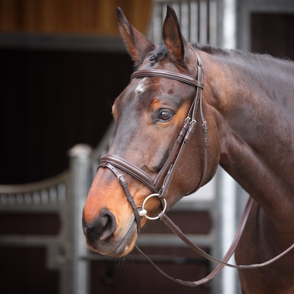 Velociti GARA Comfort Fit Bridle - Nags Essentials