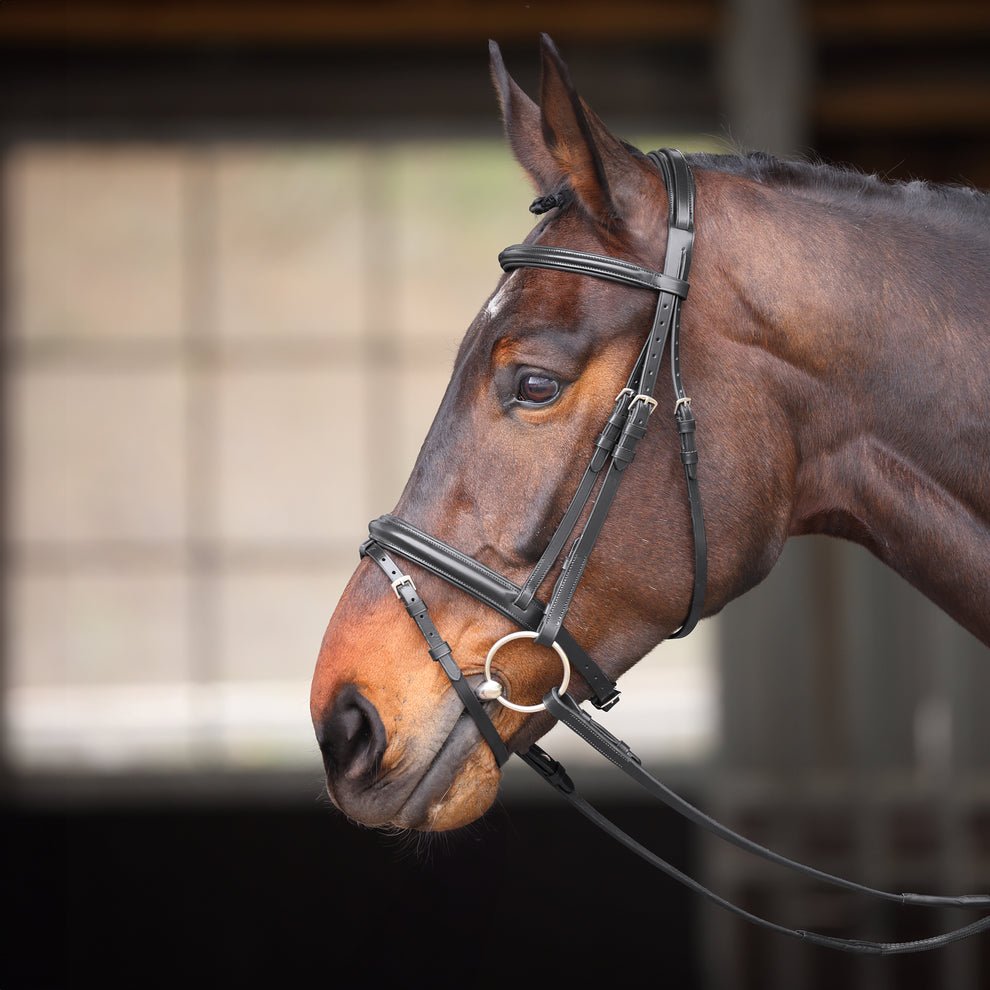 Velociti GARA Comfort Fit Bridle - Nags Essentials
