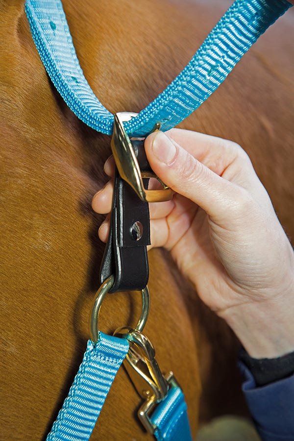 Velociti GARA Headcollar Breakaway Attachment - Nags Essentials