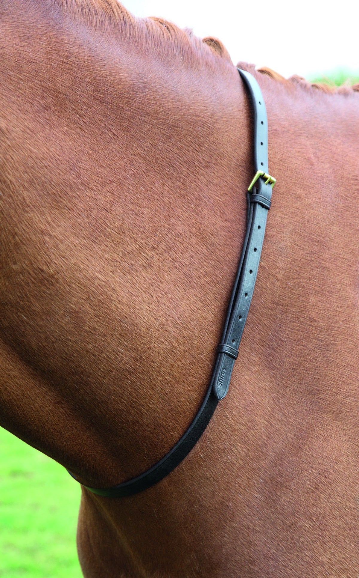 Velociti GARA Leather Neck Strap - Nags Essentials