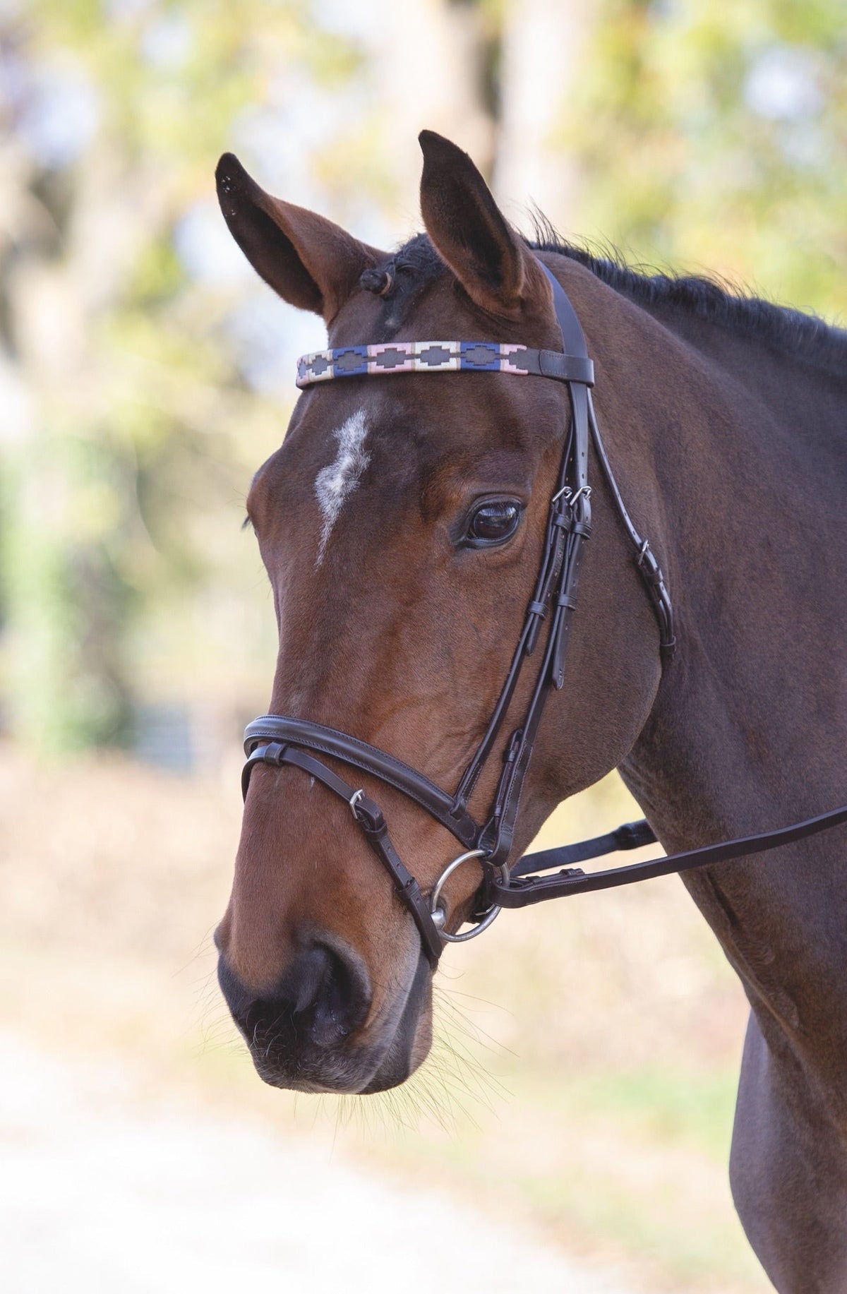 Velociti GARA Leather Polo Browband - Nags Essentials