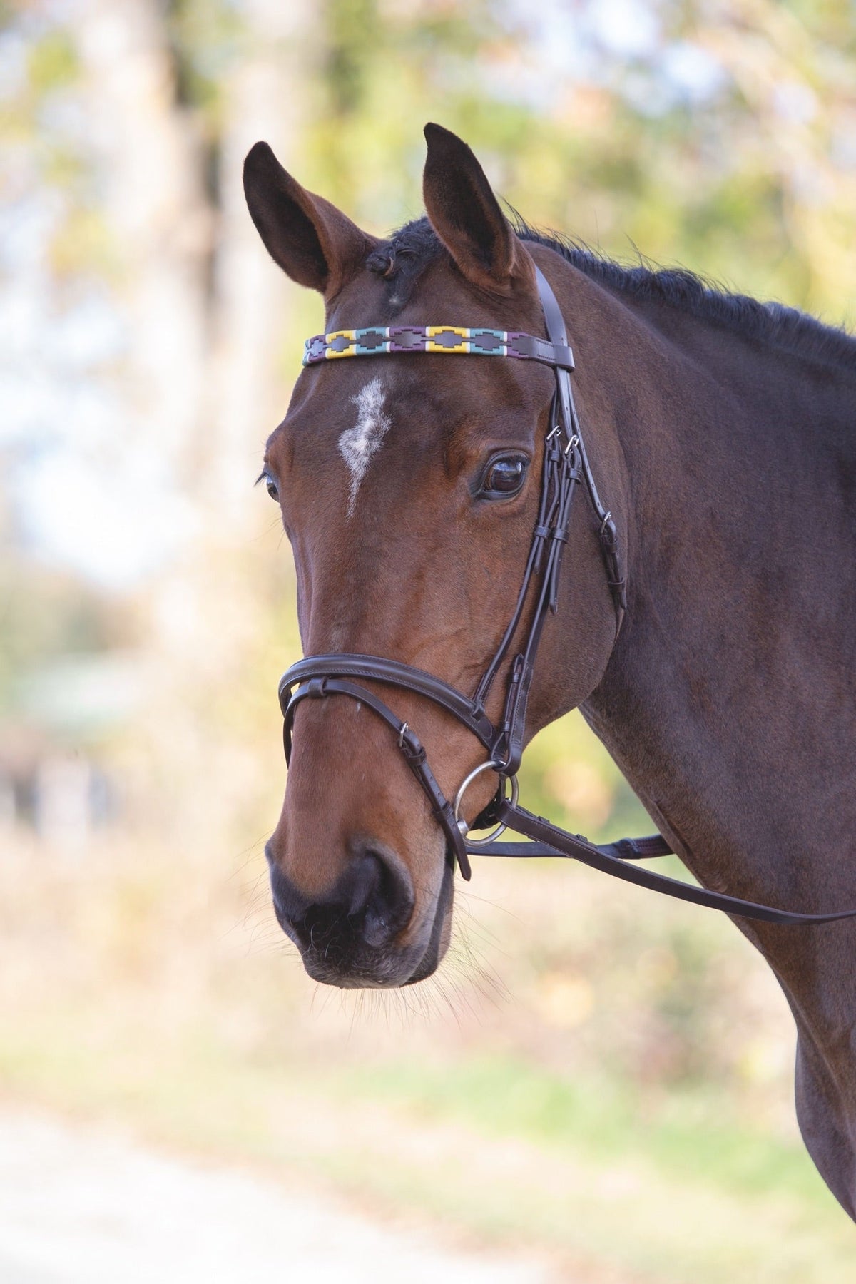 Velociti GARA Leather Polo Browband - Nags Essentials