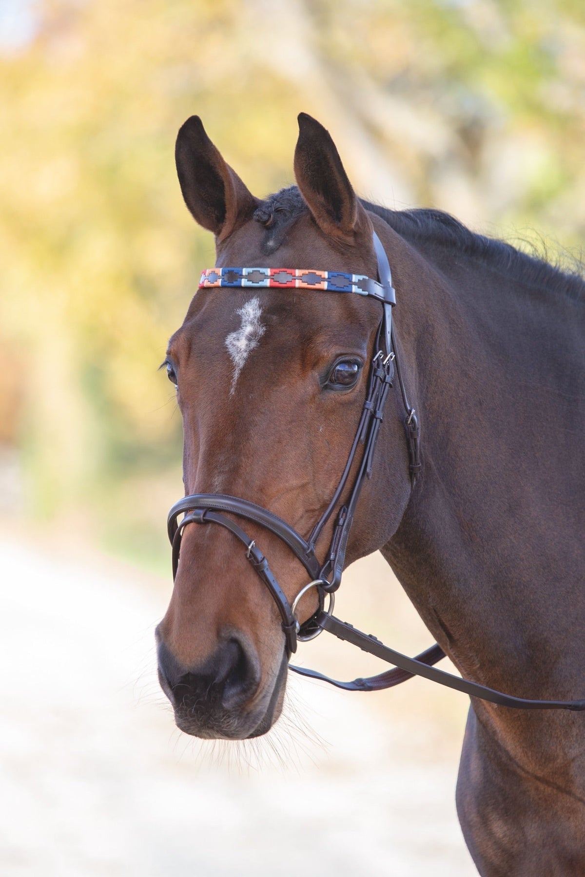 Velociti GARA Leather Polo Browband - Nags Essentials