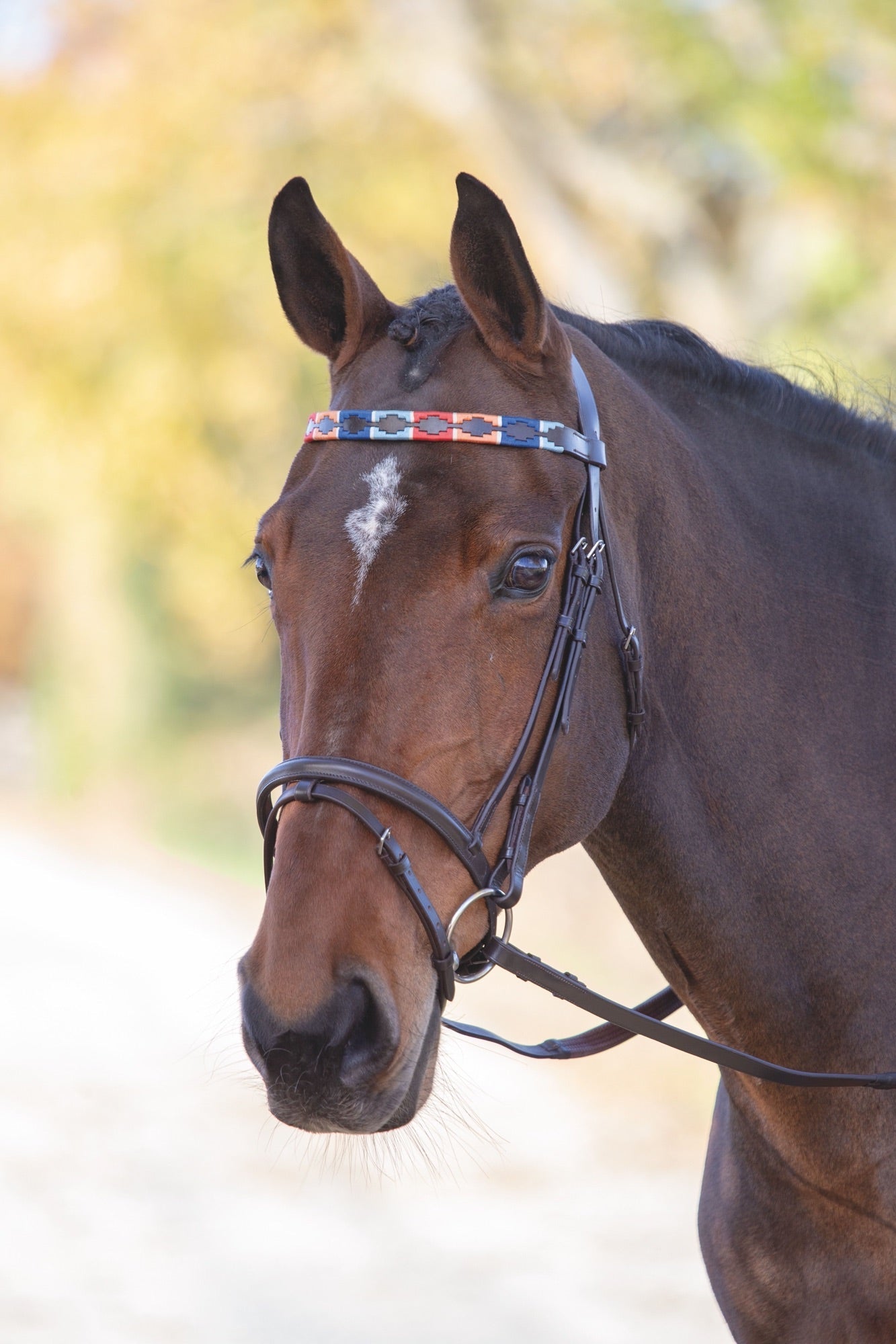 Velociti GARA Leather Polo Browband - Nags Essentials
