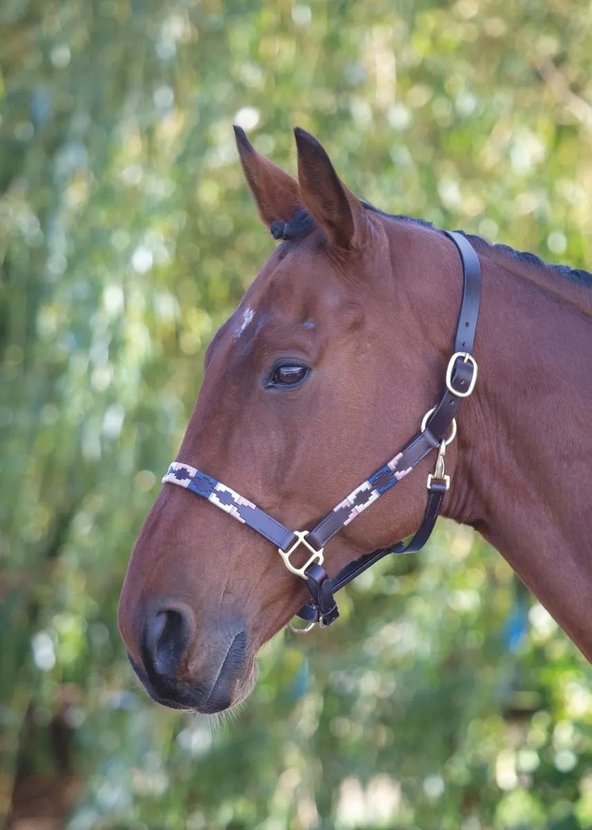 Velociti GARA Leather Polo Headcollar - Nags Essentials