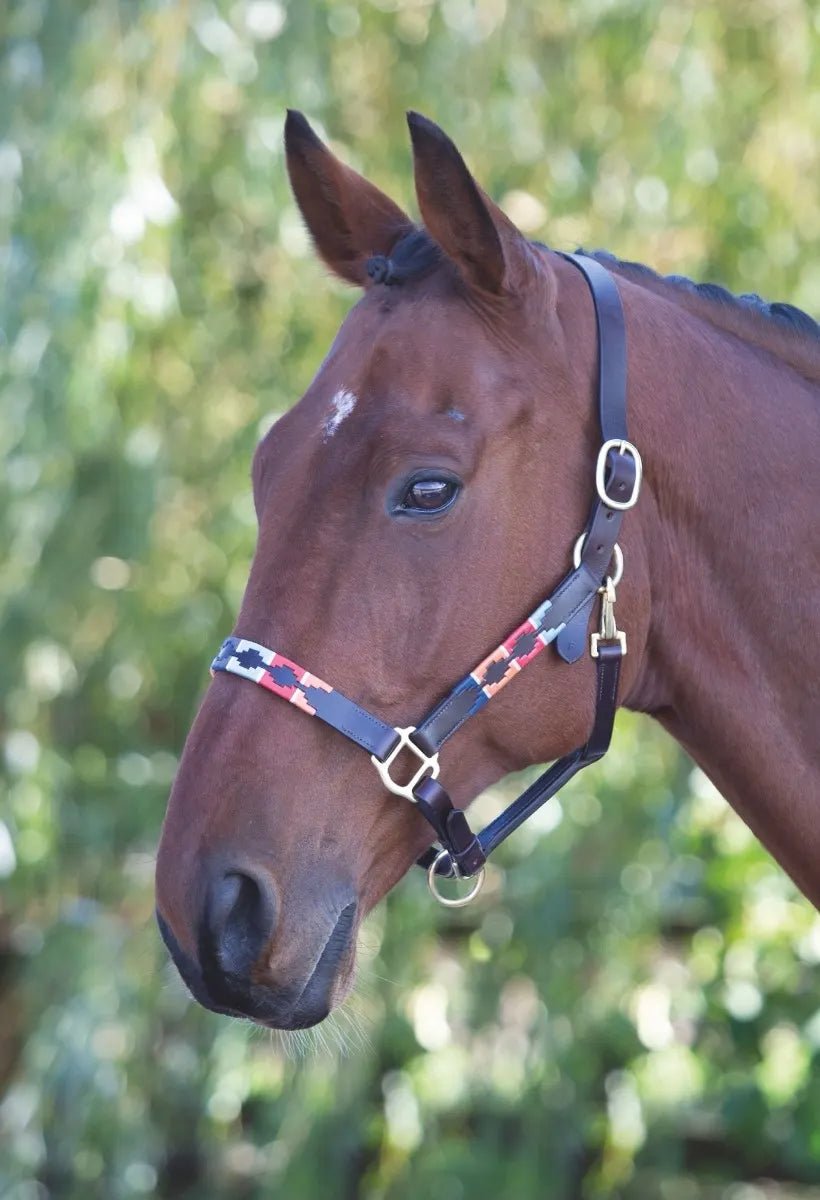 Velociti GARA Leather Polo Headcollar - Nags Essentials