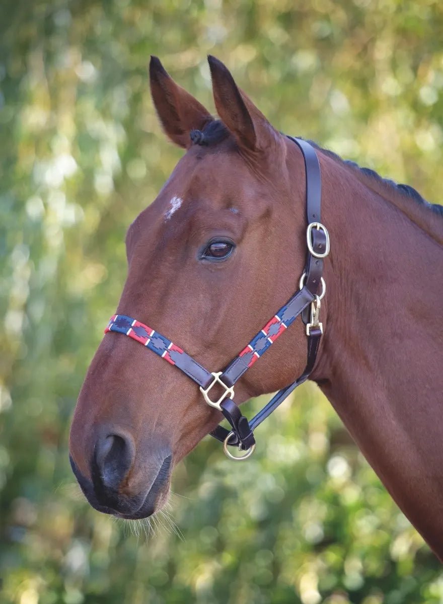 Velociti GARA Leather Polo Headcollar - Nags Essentials