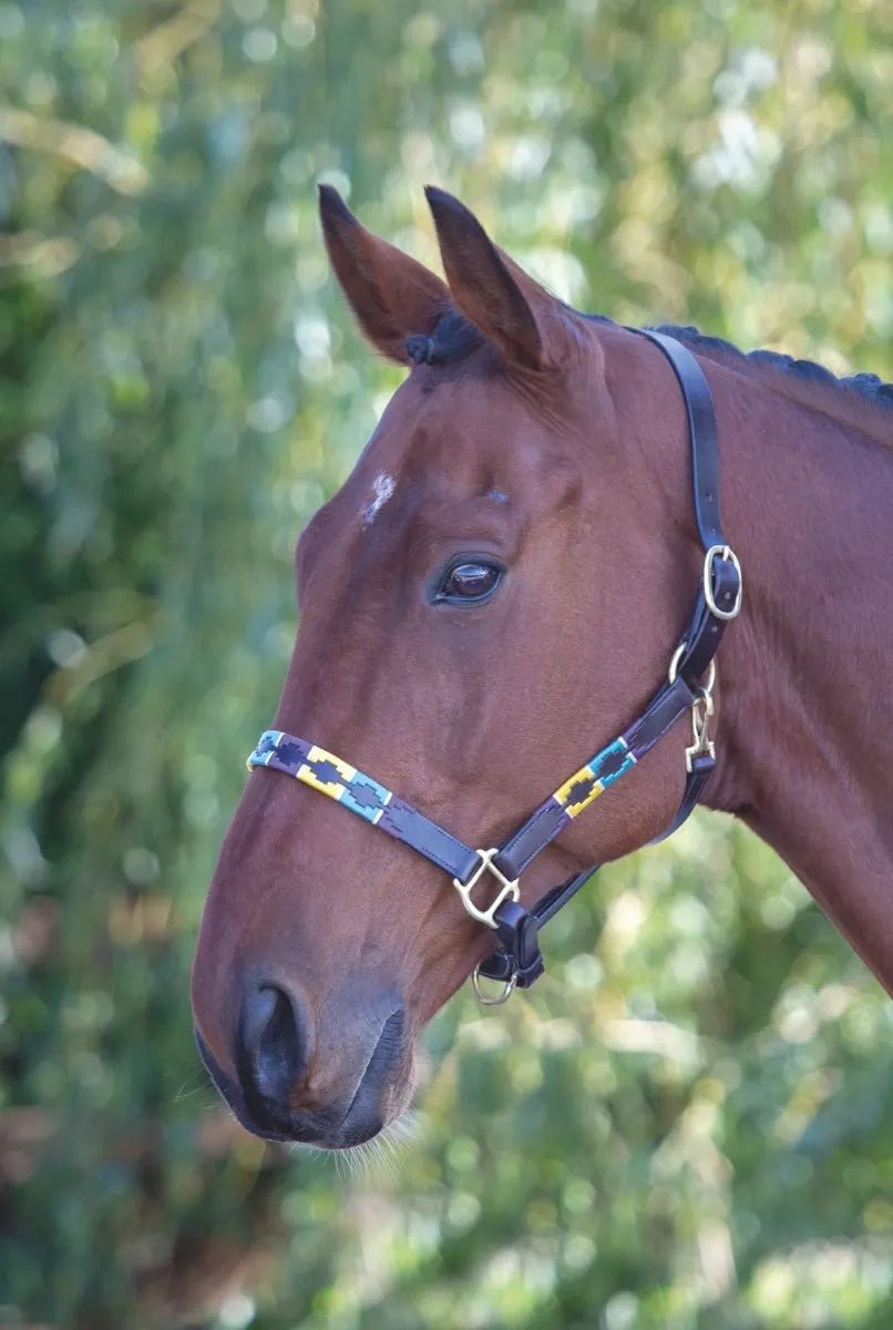 Velociti GARA Leather Polo Headcollar - Nags Essentials