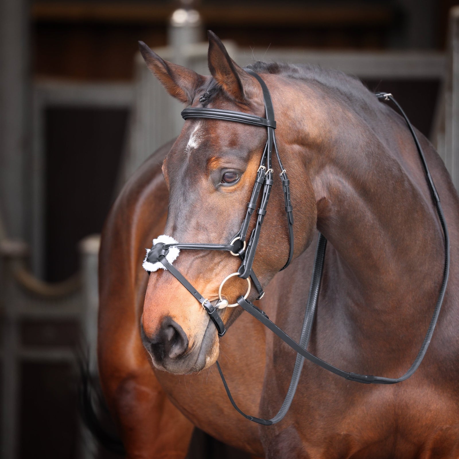 Velociti GARA Mexican Bridle - Nags Essentials