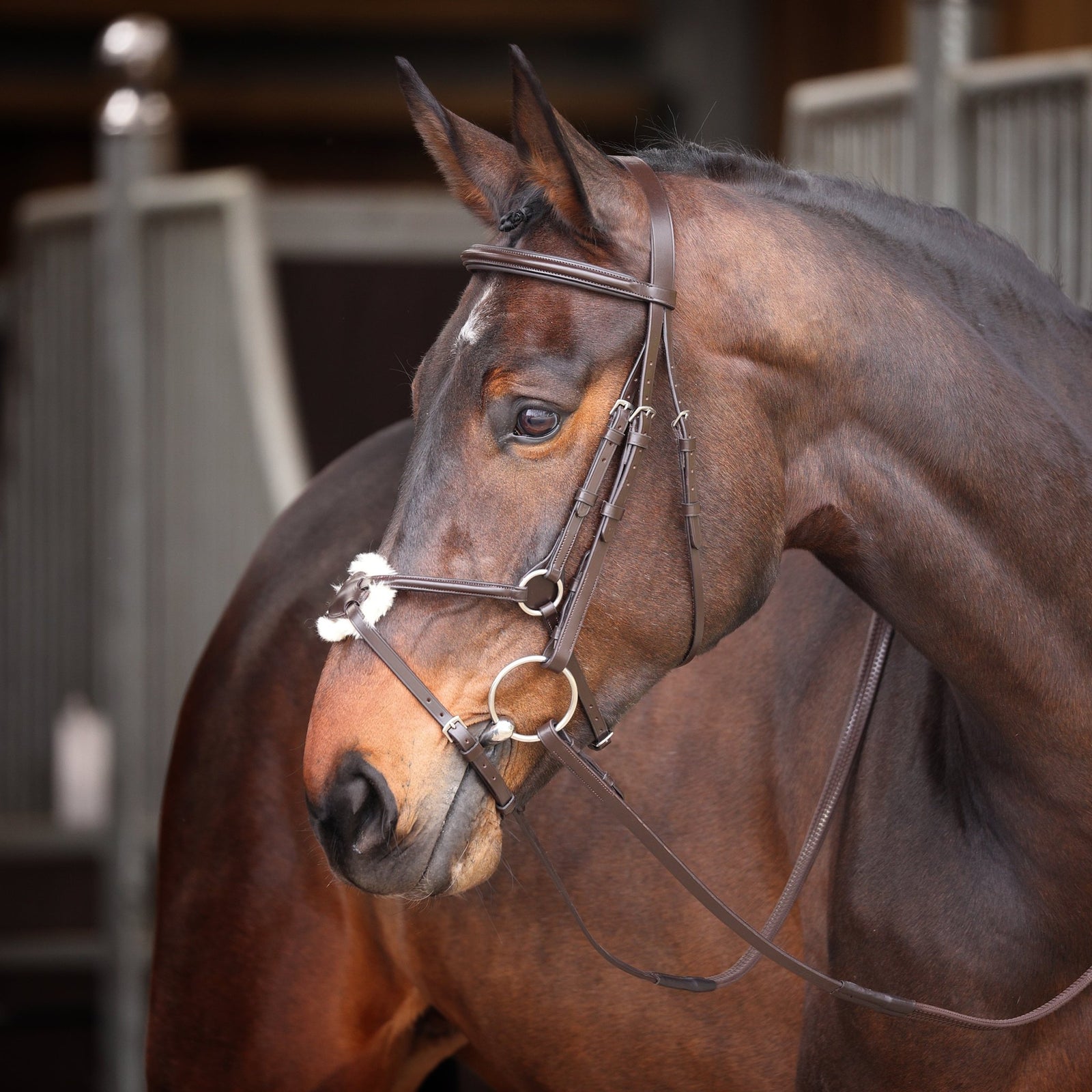 Velociti GARA Mexican Bridle - Nags Essentials