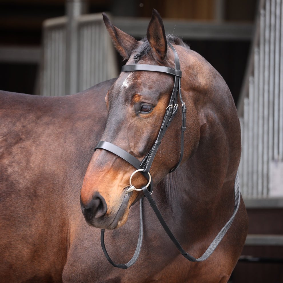 Velociti GARA Plain Bridle - Nags Essentials