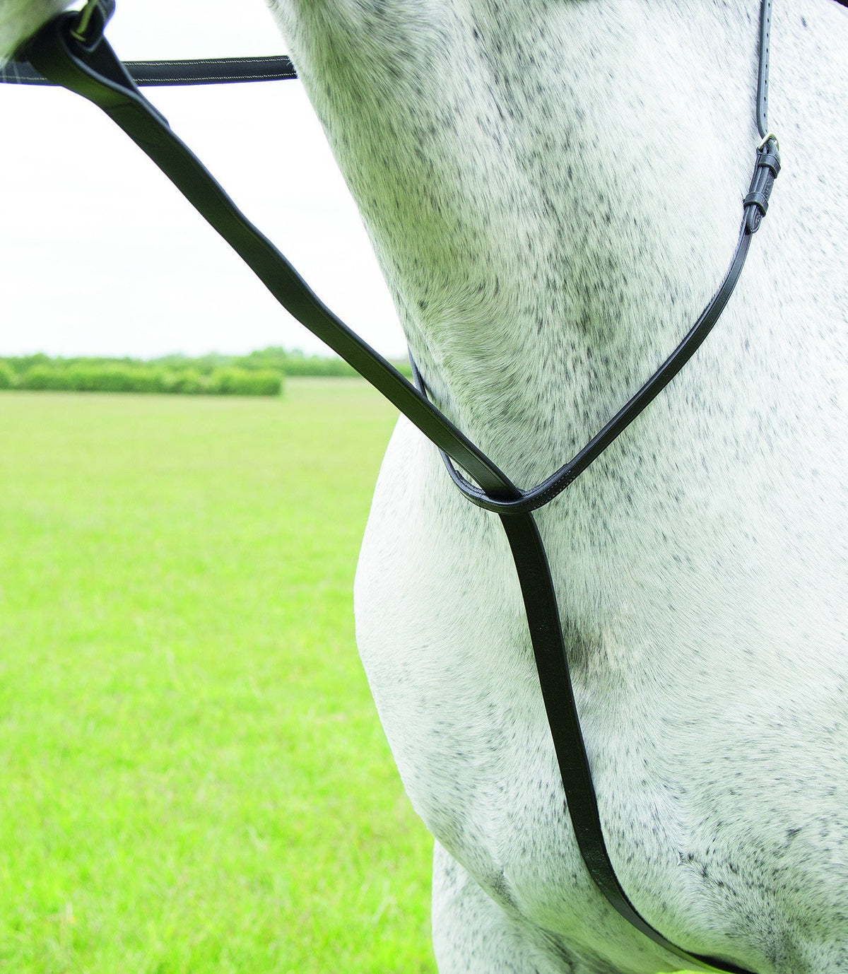 Velociti GARA Standing Martingale - Nags Essentials