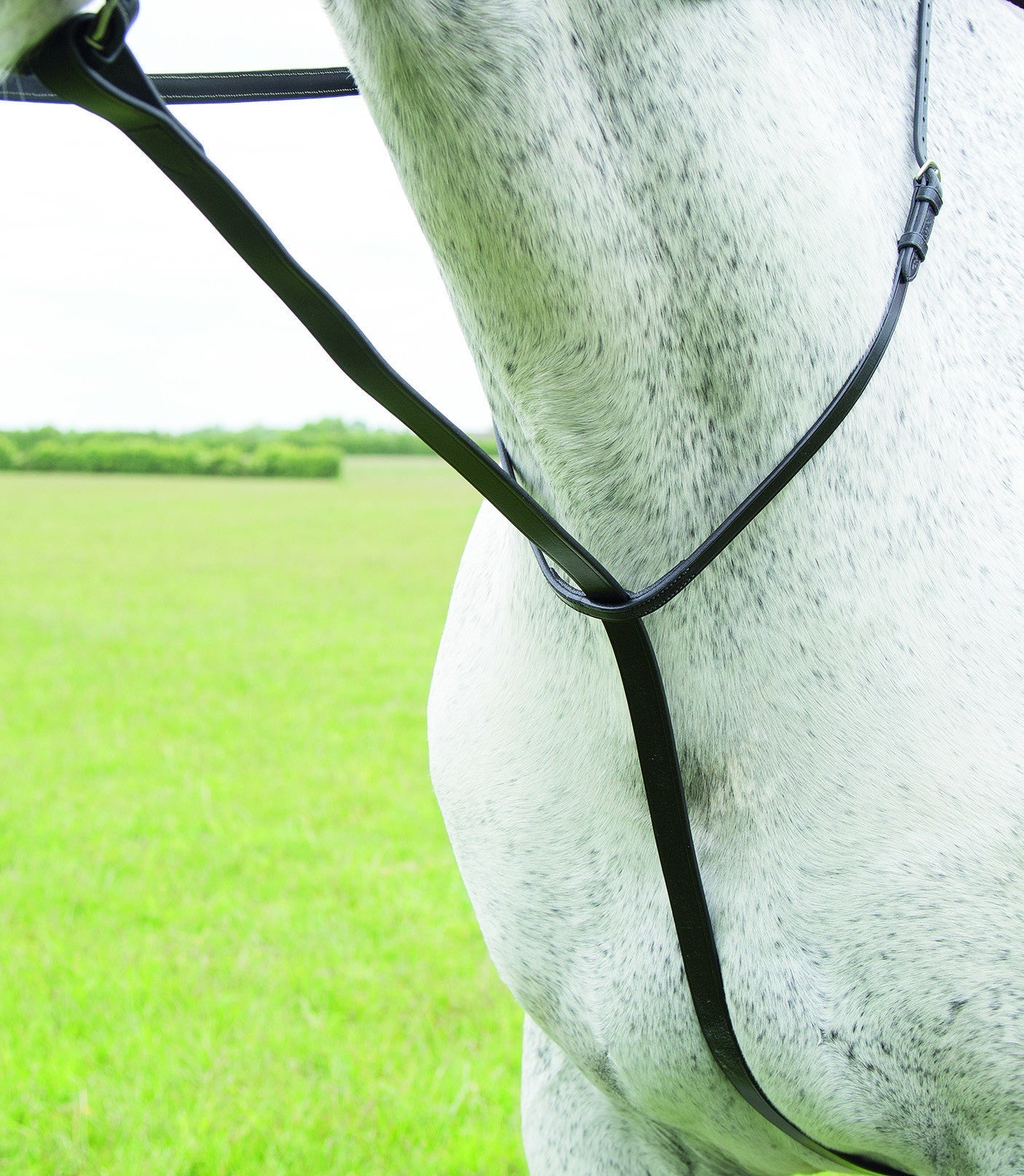 Velociti GARA Standing Martingale - Nags Essentials