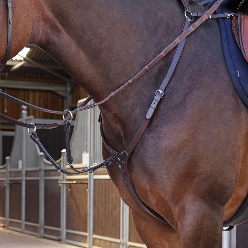 Velociti LUSSO Elite Breastplate - Nags Essentials