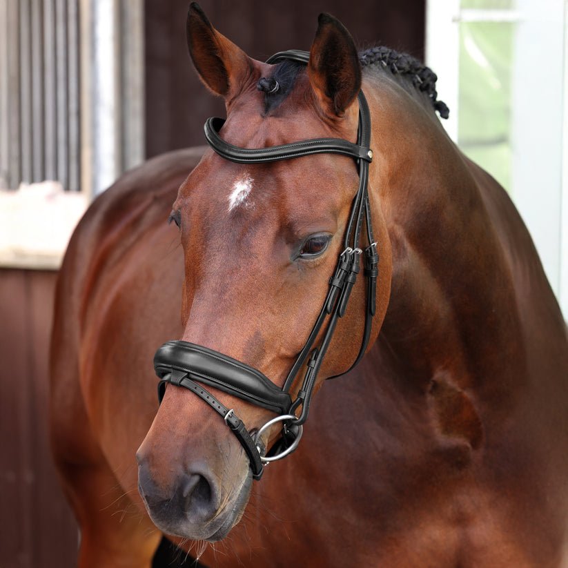 Velociti LUSSO Elite Dressage Flash Bridle - Nags Essentials