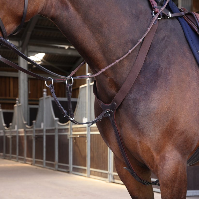 Velociti LUSSO Elite Elastic Breastplate - Nags Essentials