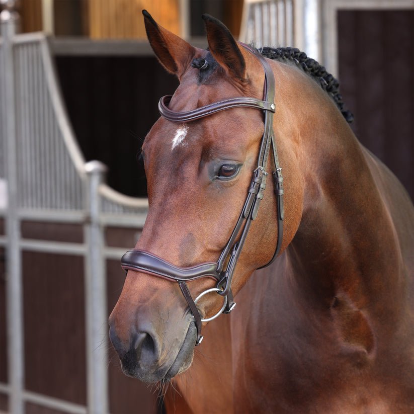 Velociti LUSSO Elite Ergonomic Flash Bridle - Nags Essentials