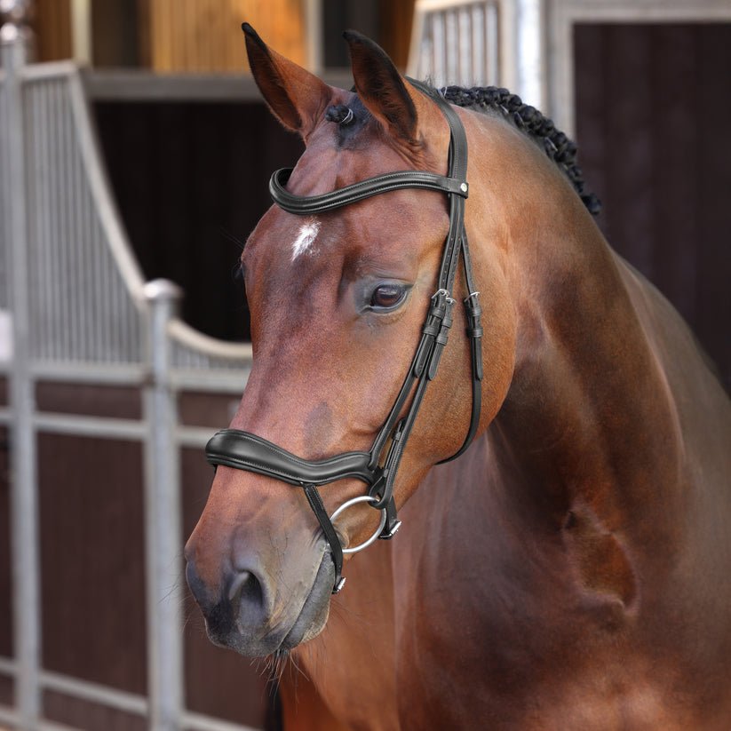 Velociti LUSSO Elite Ergonomic Flash Bridle - Nags Essentials
