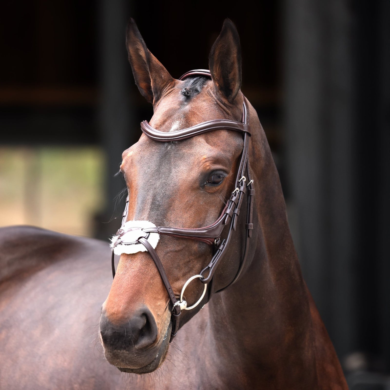 Velociti Lusso Elite Grackle Bridle - Nags Essentials