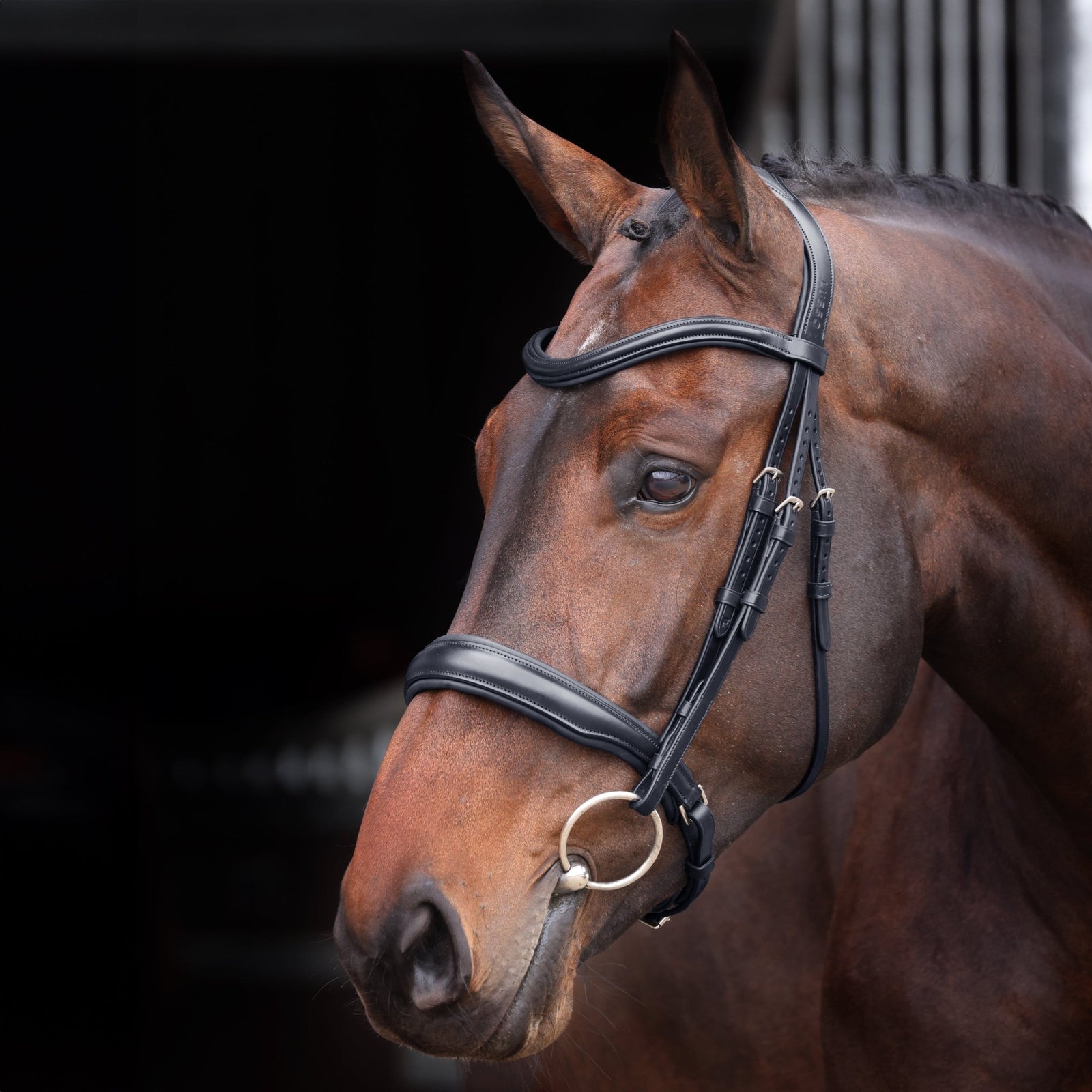 Velociti Lusso Elite Padded Cavesson Bridle - Nags Essentials