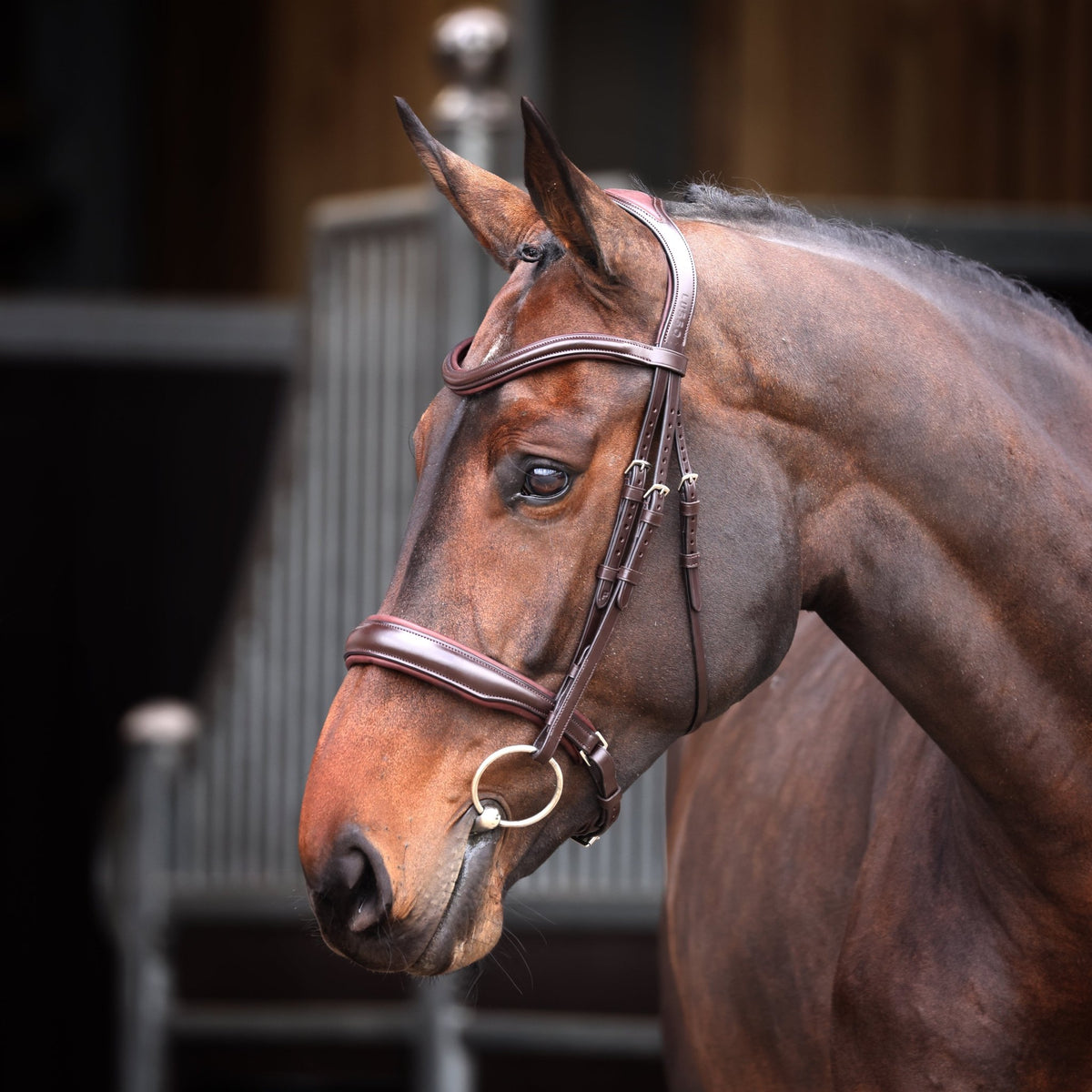 Velociti Lusso Elite Padded Cavesson Bridle - Nags Essentials