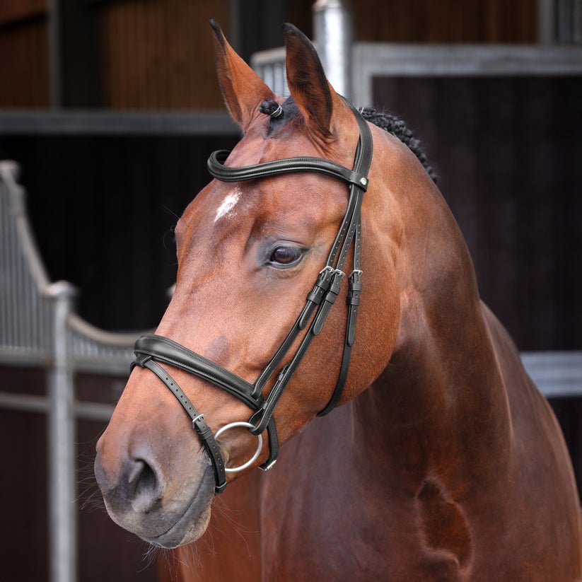 Velociti LUSSO Elite Padded Raised Flash Bridle - Nags Essentials