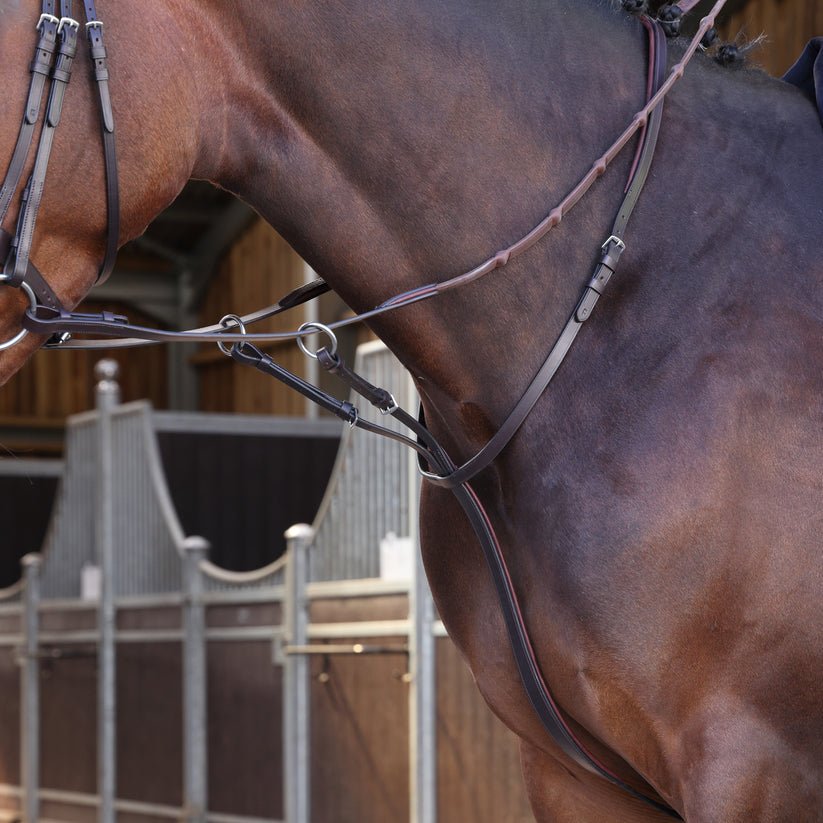 Velociti LUSSO Elite Running Martingale - Nags Essentials