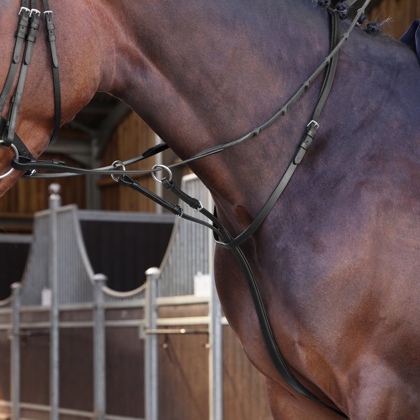 Velociti LUSSO Elite Running Martingale - Nags Essentials