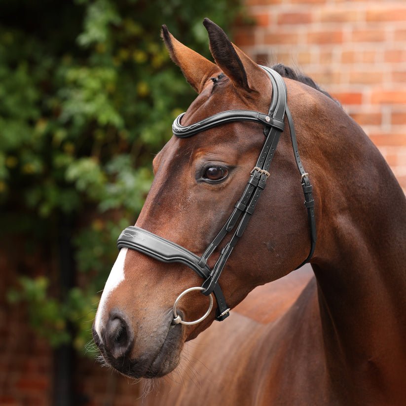 Velociti LUSSO Opus 180M Dressage Cavesson Bridle - Nags Essentials