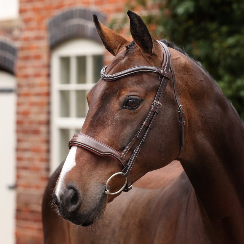 Velociti LUSSO Opus 180M Dressage Cavesson Bridle - Nags Essentials