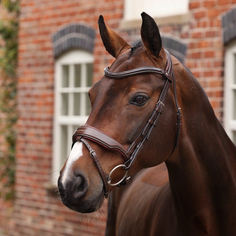 Velociti LUSSO Opus 180M Dressage Flash Bridle - Nags Essentials