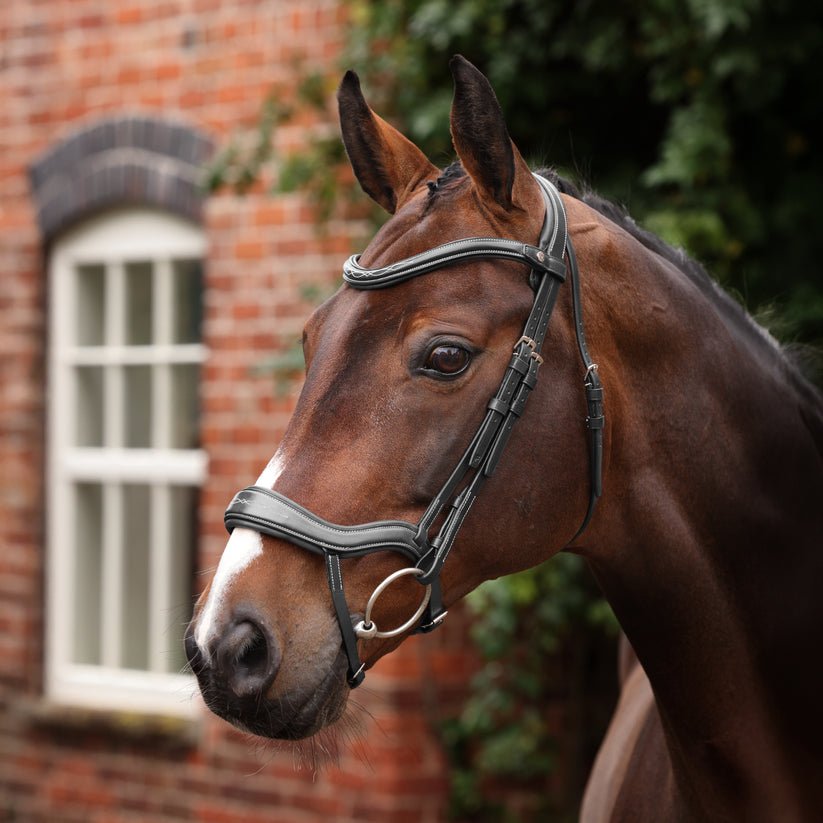 Velociti LUSSO Opus 180M Ergonomic Flash Bridle - Nags Essentials