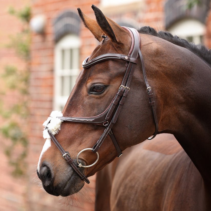 Velociti LUSSO Opus 180M Grackle Bridle - Nags Essentials