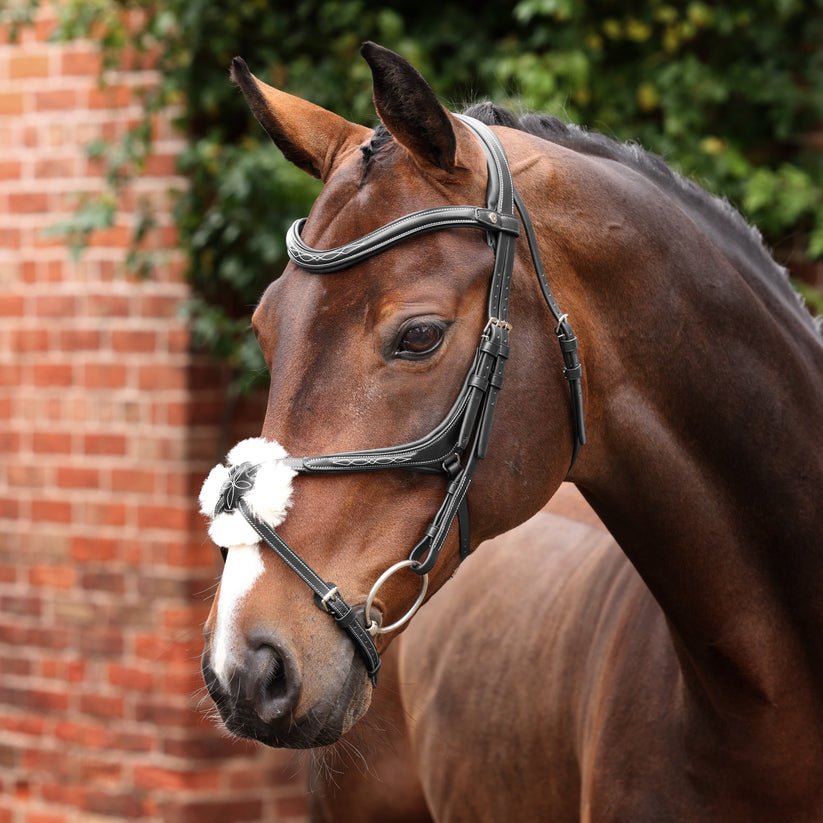 Velociti LUSSO Opus 180M Grackle Bridle - Nags Essentials