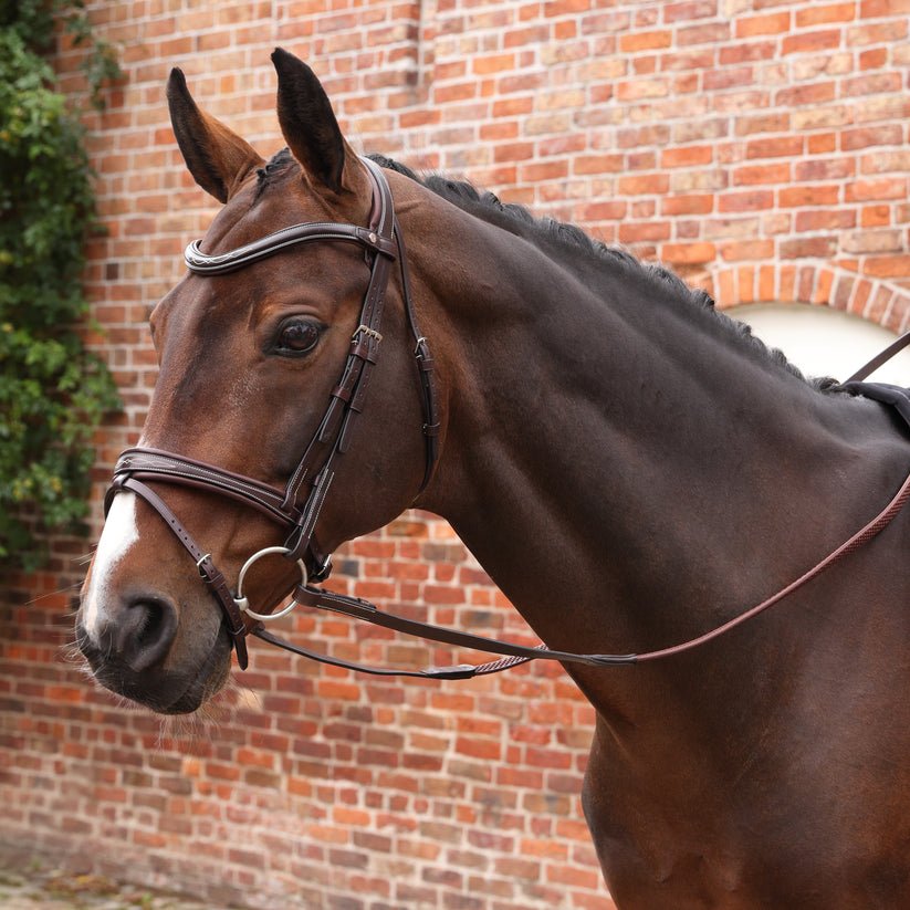 Velociti LUSSO Opus Pro SureGrip Reins  - Nags Essentials