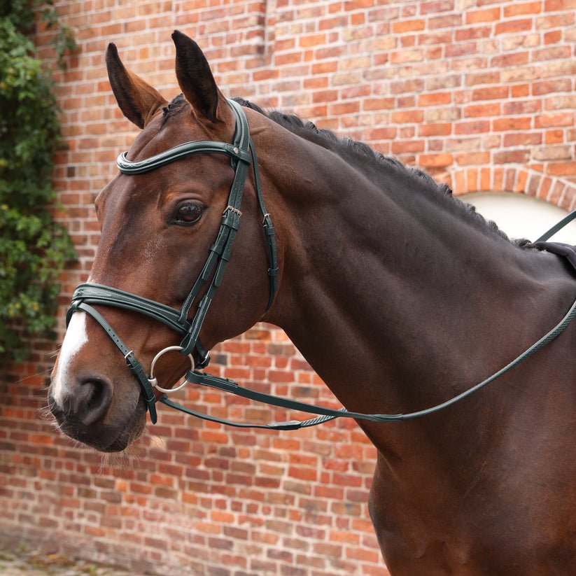 Velociti LUSSO Opus Pro SureGrip Reins  - Nags Essentials