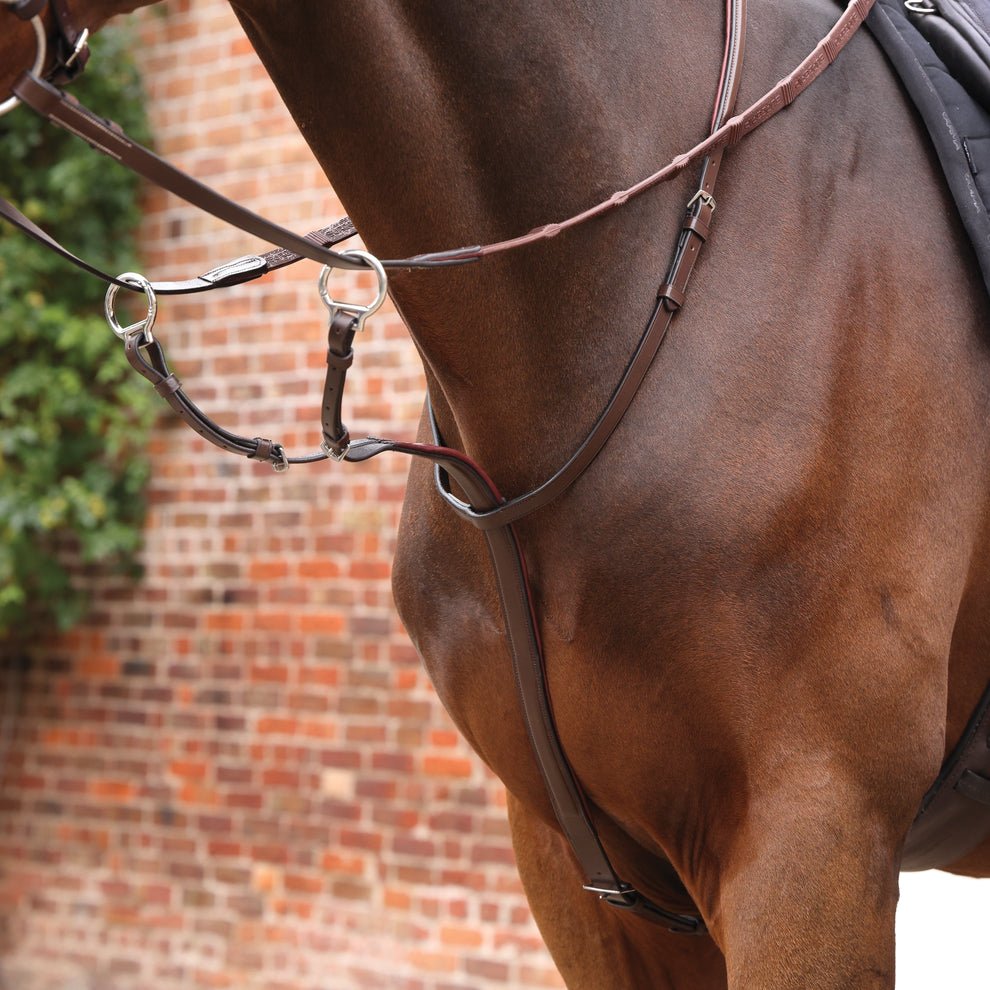 Velociti LUSSO Opus Running Martingale - Nags Essentials