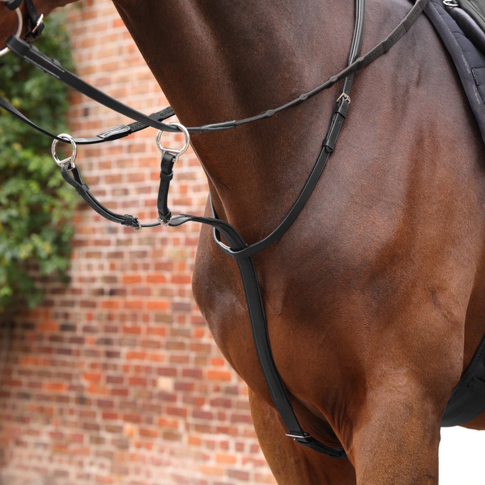 Velociti LUSSO Opus Running Martingale - Nags Essentials