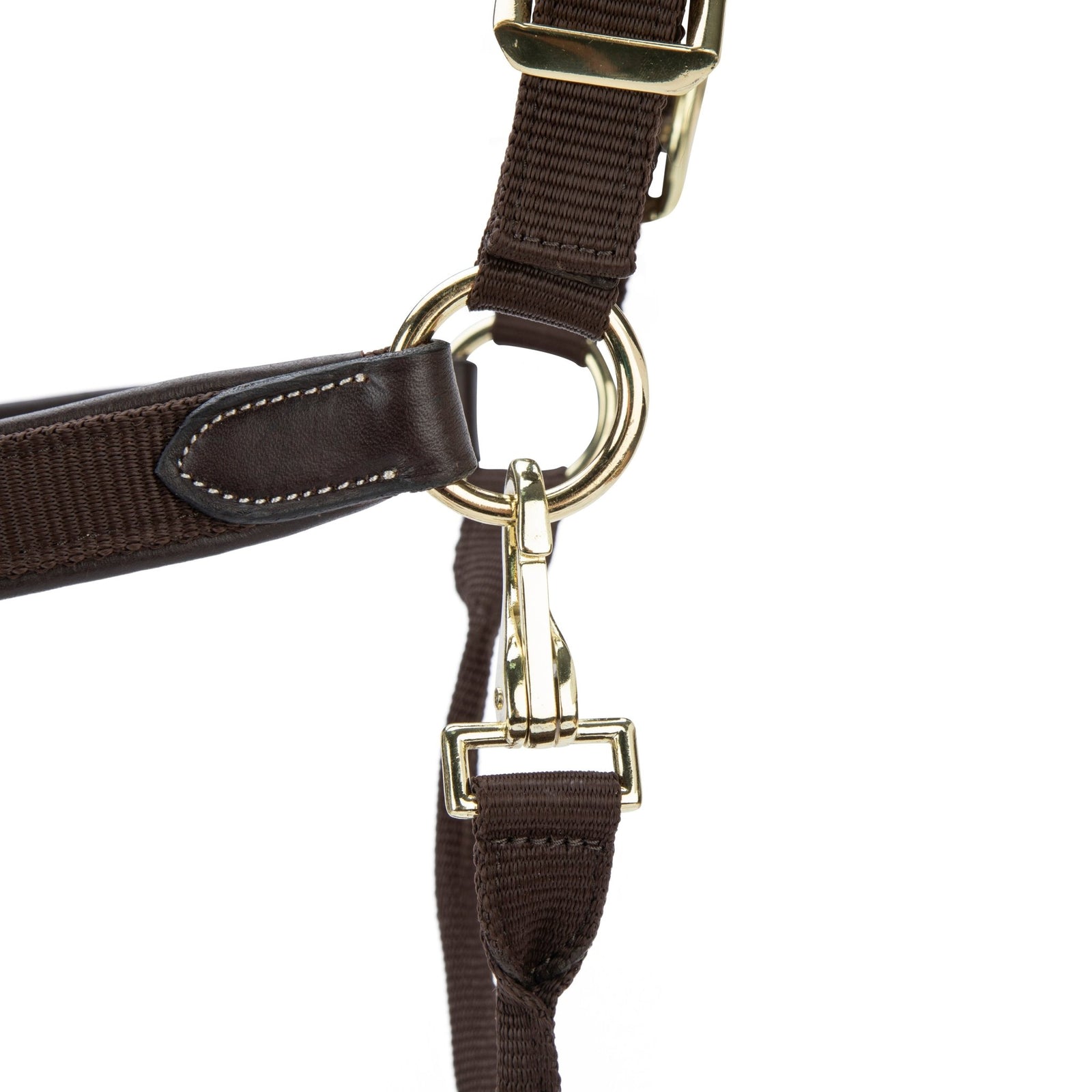 Velociti LUSSO Padded Leather Headcollar - Nags Essentials