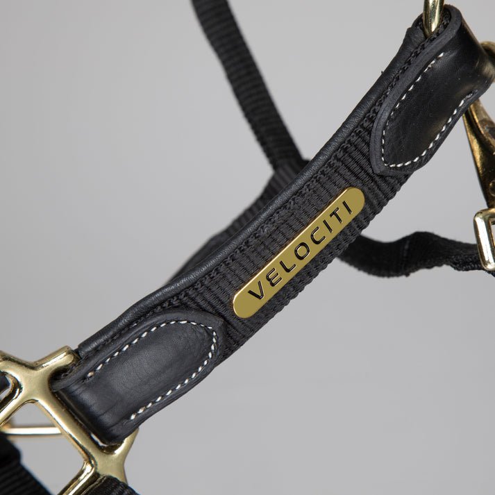 Velociti LUSSO Padded Leather Headcollar - Nags Essentials