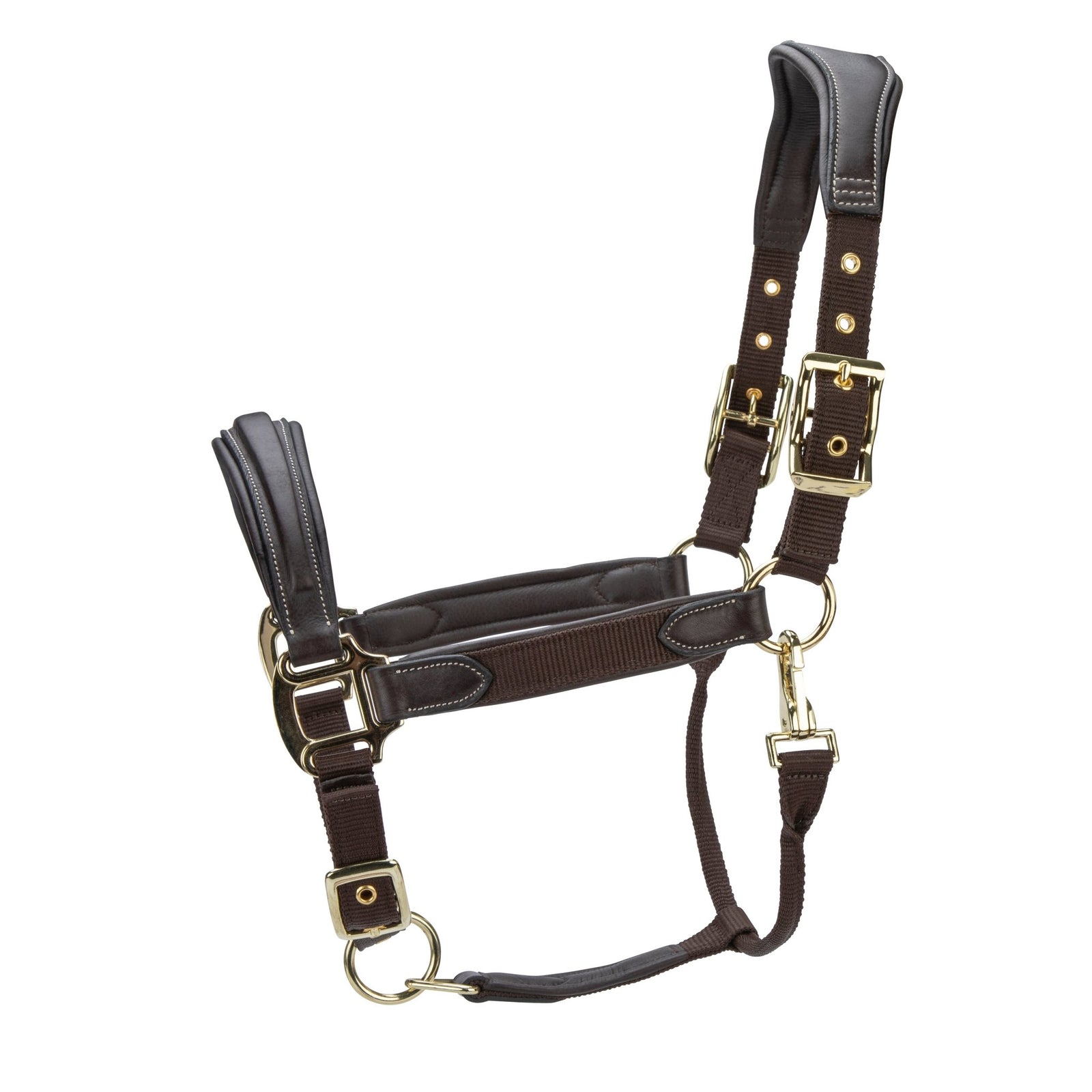 Velociti LUSSO Padded Leather Headcollar - Nags Essentials