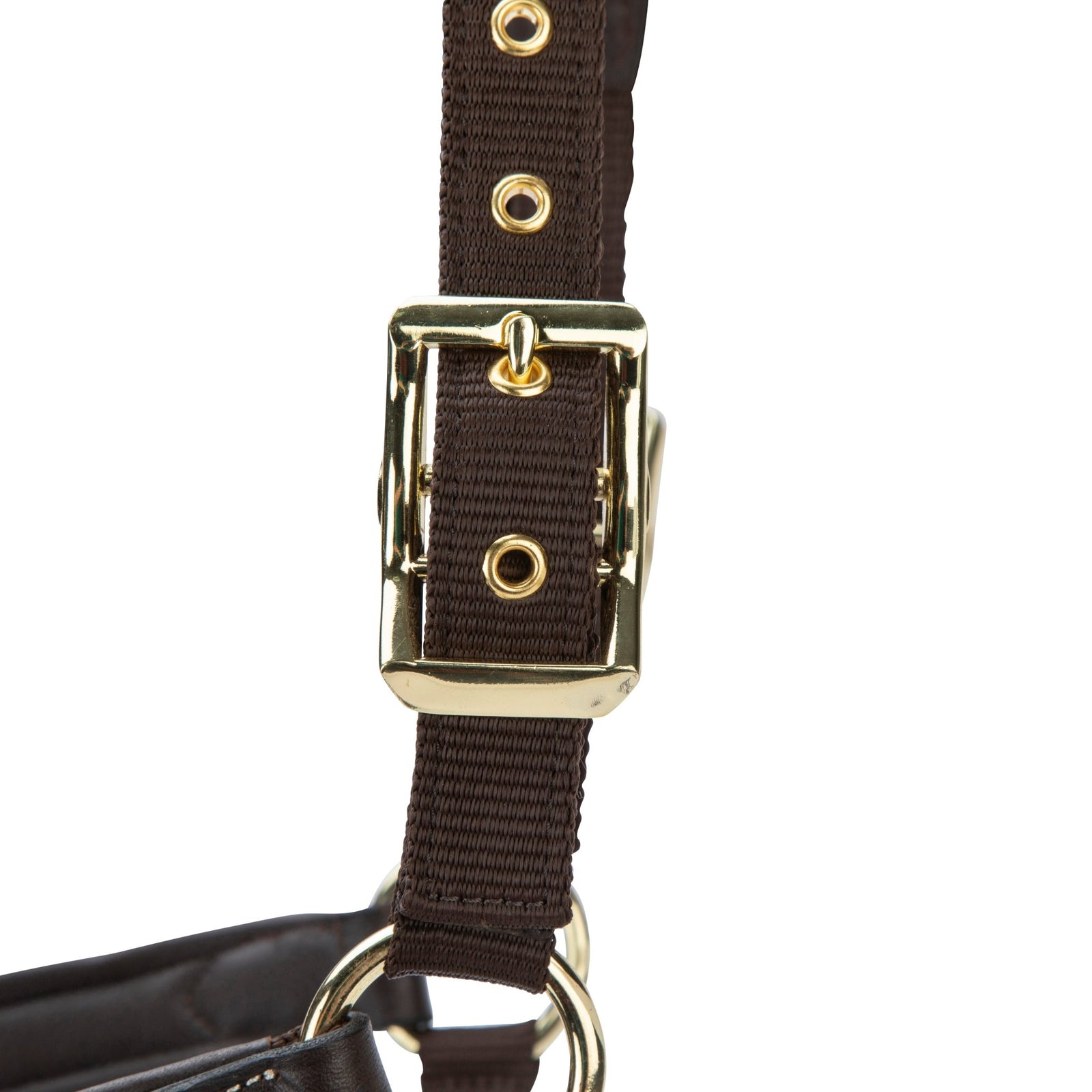 Velociti LUSSO Padded Leather Headcollar - Nags Essentials